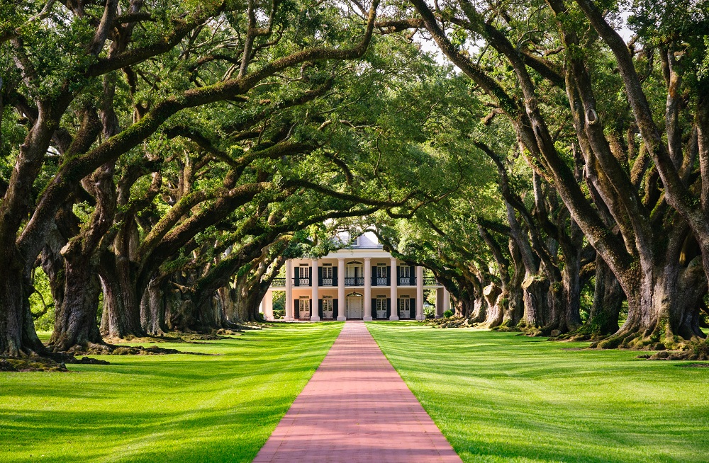 Plantation